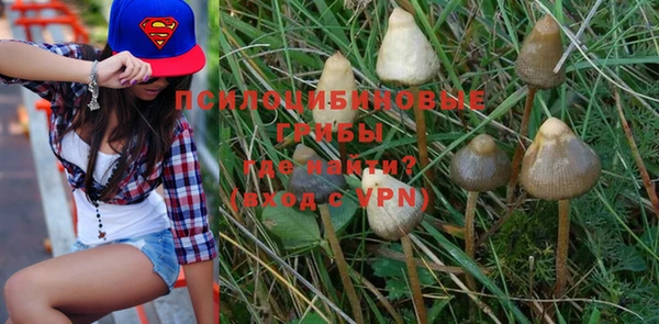 Альфа ПВП Нея