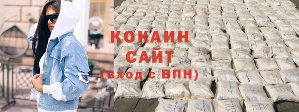 Альфа ПВП Новозыбков