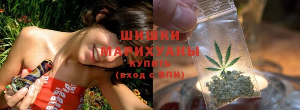 Альфа ПВП Новозыбков