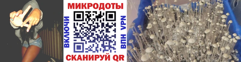 Псилоцибиновые грибы мухоморы Нижний Ломов