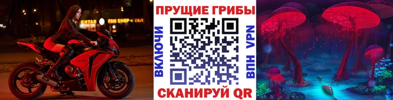 hydra зеркало Нижний Ломов Галлюциногенные грибы прущие грибы